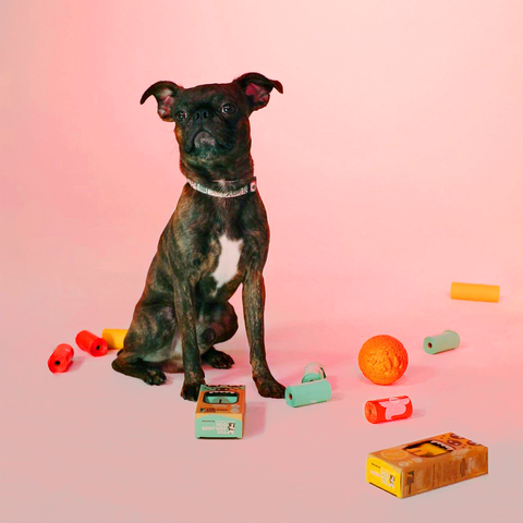Explorer Dog – Kompostovateľné sáčky na hovienka 60 ks
